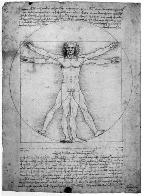 The Human Proportions (after Vitruvius, c. 1490)