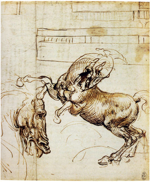Horse studies, C. 1503/4