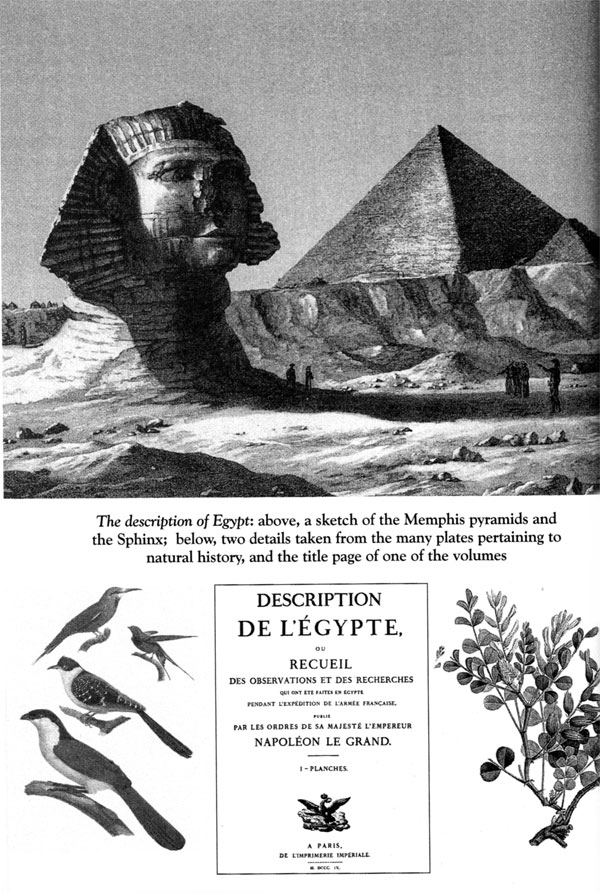 The description of Egypt: above, a sketch of the Memphis pyramids and the Sphinx; below, tow details taken from the many plates pertaining to natural history, and the title page of one of the volumes