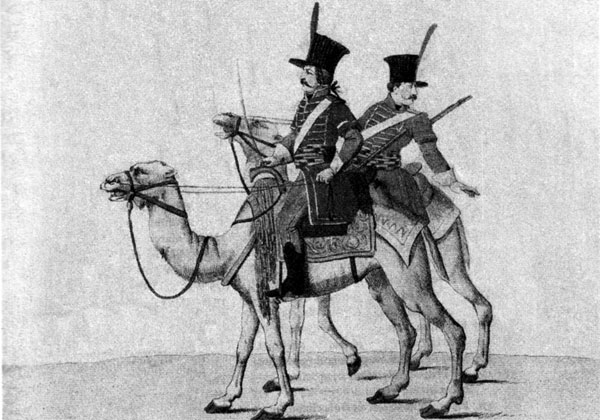 French camel corps